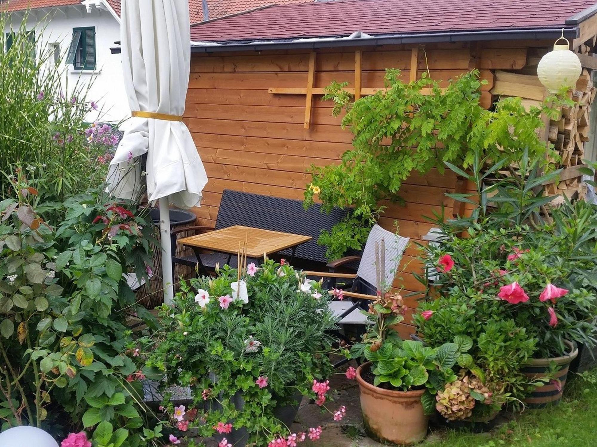 Ferienwohnung Am Berg, 35Qm Rickenbach  Exterior foto